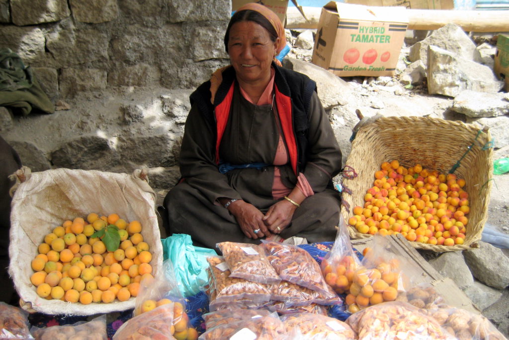 Aprikosen gehören zu den wenigen Obstsorten, die in 3.500 Meter Höhe noch wachsen und, frisch oder getrocknet, fixer Bestandteil der täglichen Ernährung sind. Die Bäuerin ist eine in einer langen Reihe von Aprikosenverkäuferinnen am Straßenrand auf dem Weg nach Kargil.
